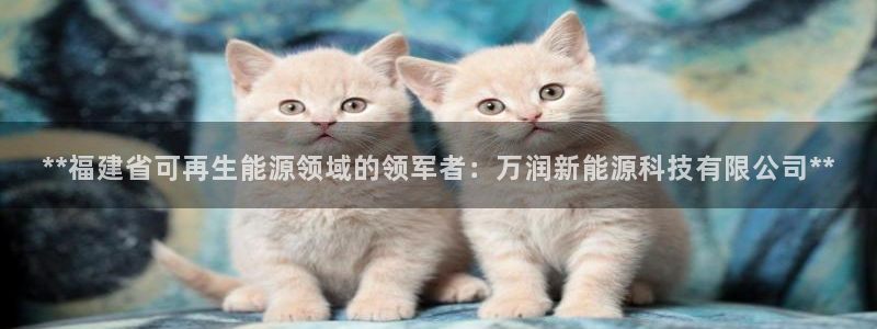 sunbet手机网页版下载