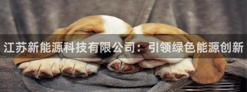 sunbet手机版登录