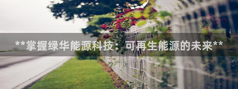sunbet手机版官网下载