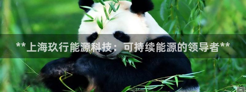 申博视讯