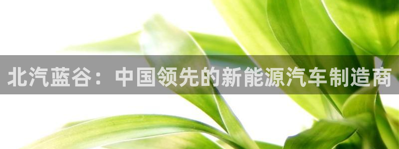 sunbet申搏平台