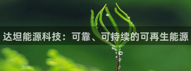 sunbet最新消息