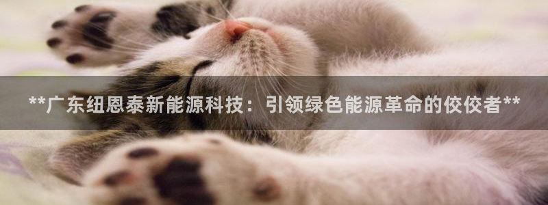 sunbet手机网页版下载