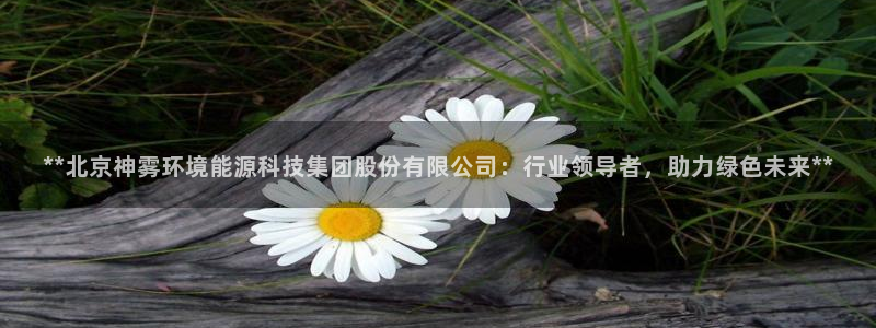 sunbet申搏官方网站