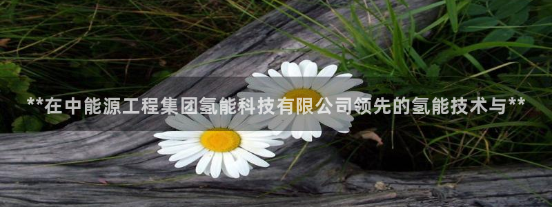 申慱sunbet版app