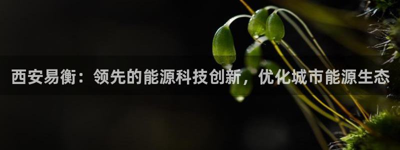 申慱sunbet网站