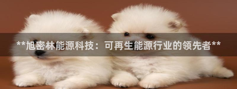 sunbet最新消息