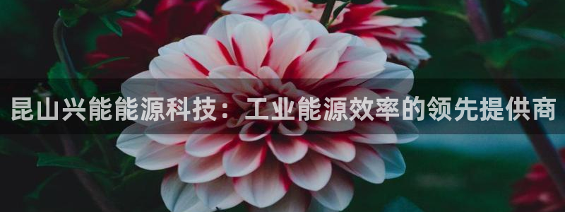 sunbet申搏app下载