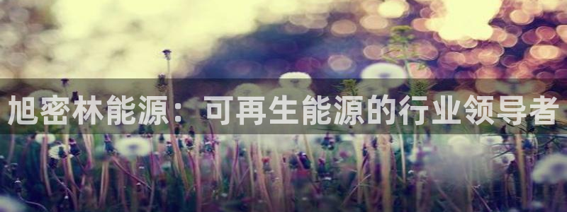 申慱sunbet网站