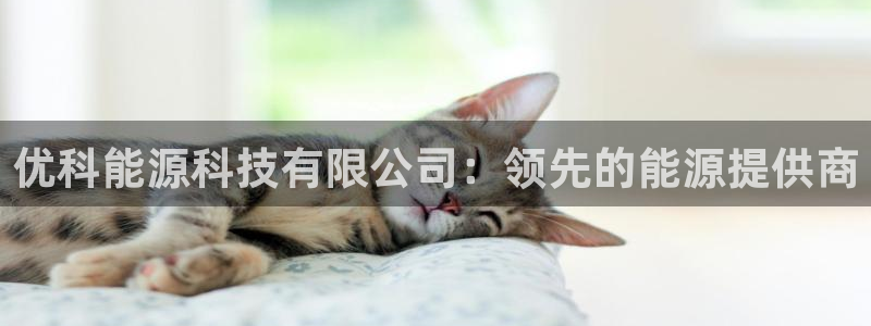 sunbet官网登录首页