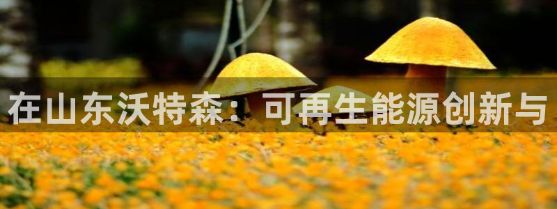 sunbet官网手机版