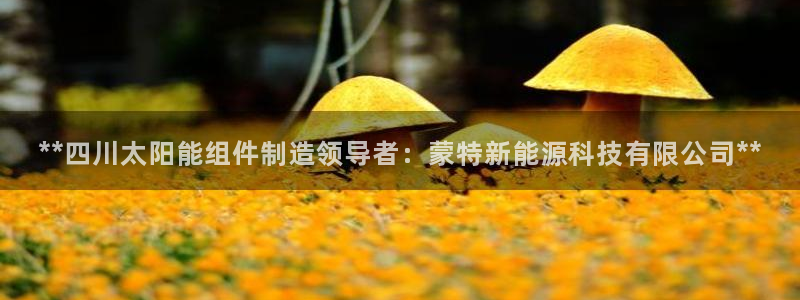 sunbet线上真人手机版