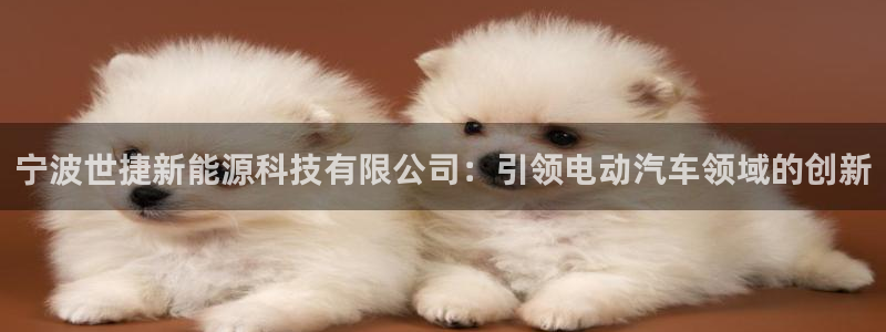 申慱sunbet版app