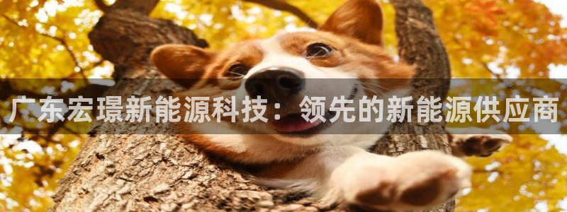 sunbet申搏app下载