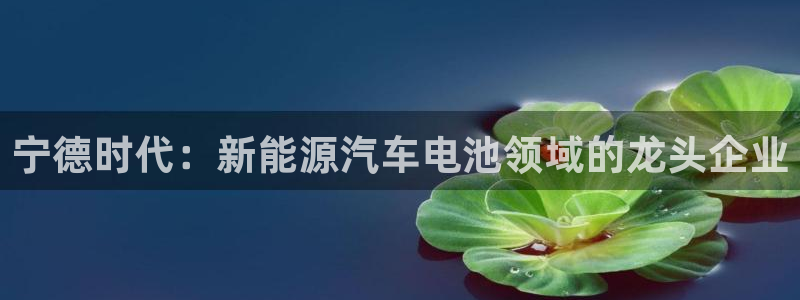 sunbet安卓下载