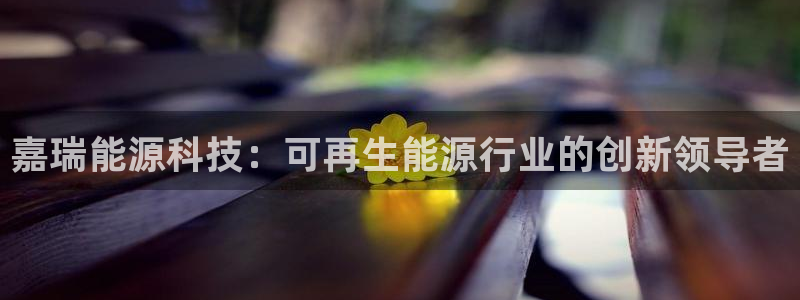 sunbet最新消息