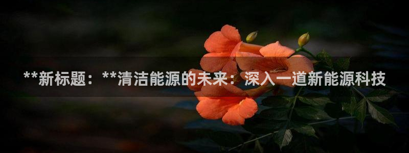 sunbet中国官网