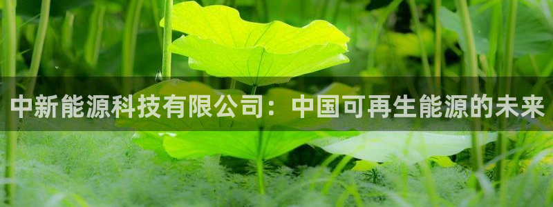 sunbet安卓下载
