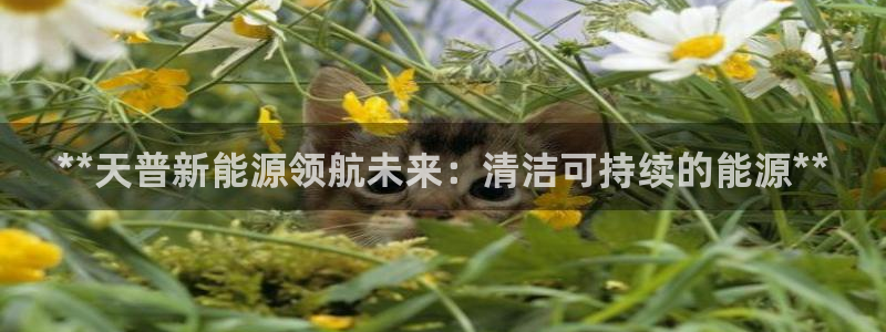 申博官方网址