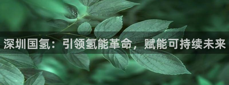 sunbet燃气灶