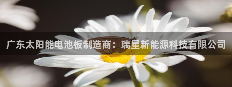 申慱sunbet版app