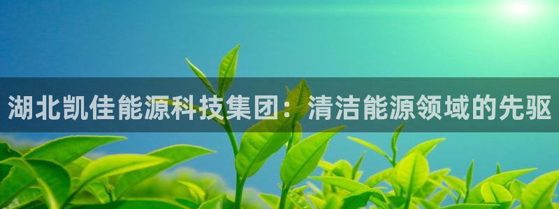 sunbet英语翻译