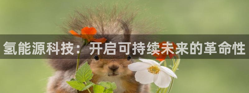 sunbet手机版登录