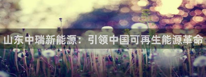 sunbet程序