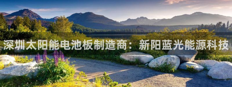 申博手机版app下载
