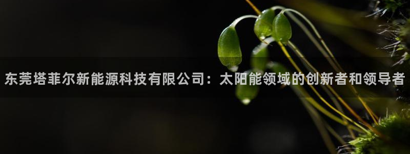 sunbet官网登录首页