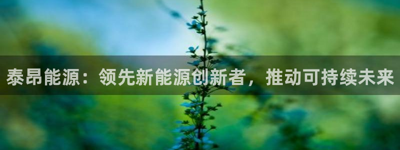 sunbet安卓下载