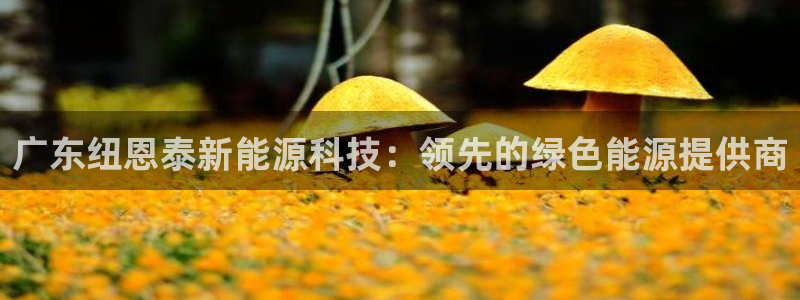 申博官网手机版下载app