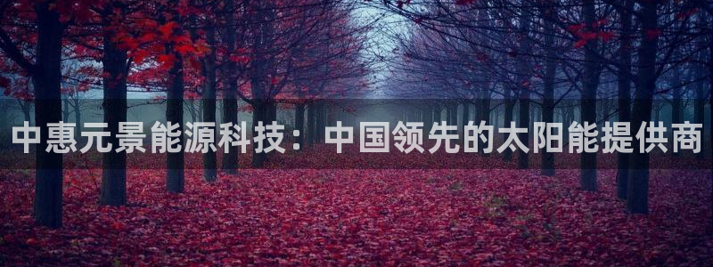 sunbet官网手机版登录