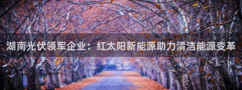 申慱sunbet网站
