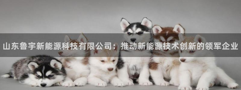 sunbet游戏最新版