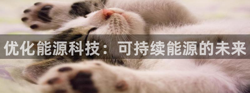 申博官网电脑版下载