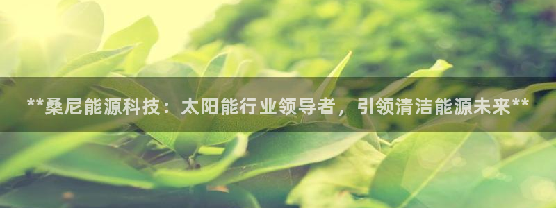 申博官方网站手机版下载