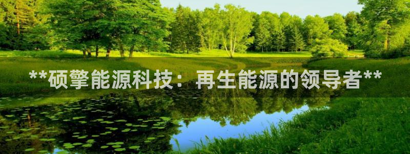 sunbet燃气灶