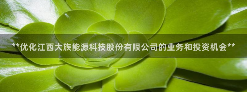 申博手机版官网