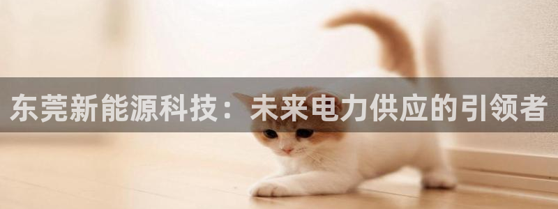 sunbet手机版官网下载