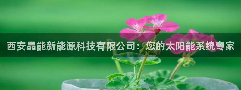 sunbet线上真人手机版