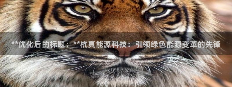 sunbet中文