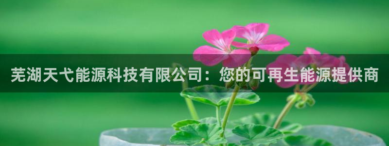 sunbet最新消息
