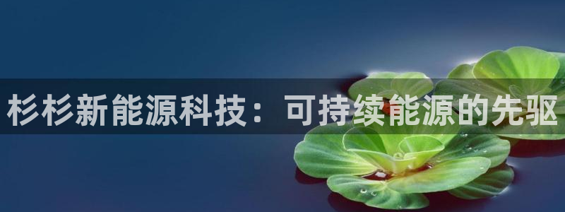 sunbet中文