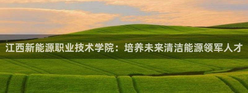 sunbet英语翻译