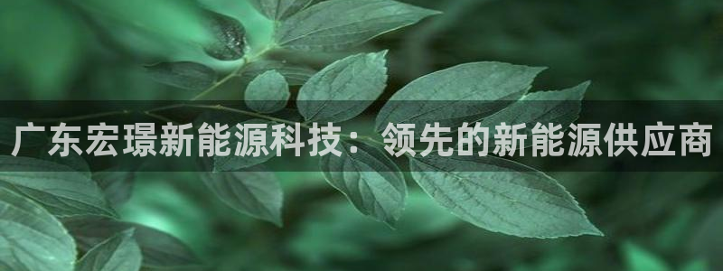 sunbet手机网页版