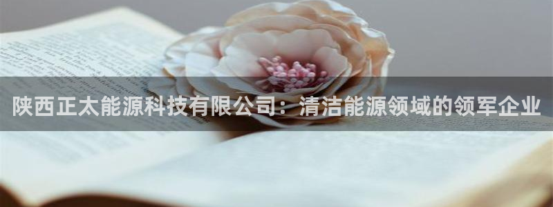 sunbet手机网页版本