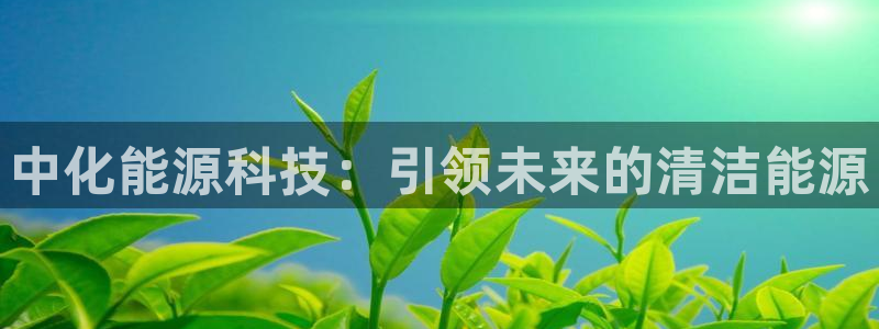 sunbet程序