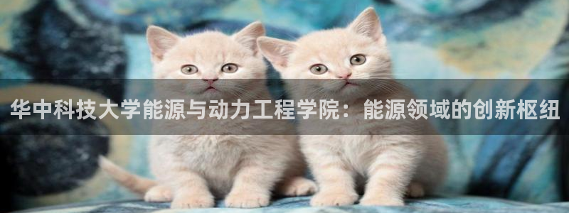 sunbet手机网页版下载