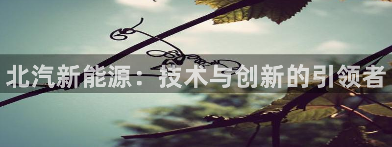 申博官网电脑版下载